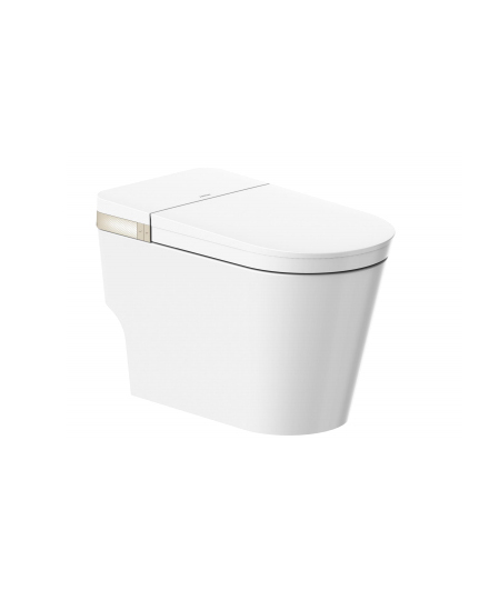智能坐便器 P5 AKB1317-P